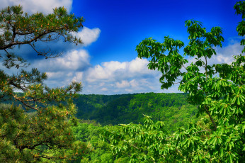 Картинка природа пейзажи простор