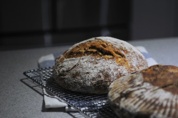 Картинка еда хлеб +выпечка хлебушек