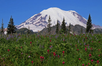 Картинка природа горы гора