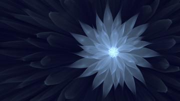 Картинка 3д+графика цветы+ flowers лепестки фон