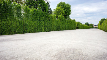 Картинка природа парк аллея