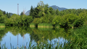 Картинка природа реки озера озеро