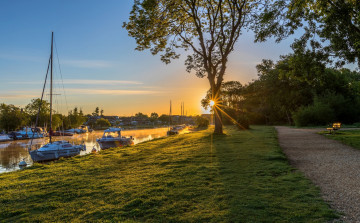 Картинка корабли Яхты деревья трава вода аллея
