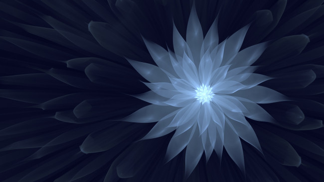 Обои картинки фото 3д графика, цветы , flowers, лепестки, фон