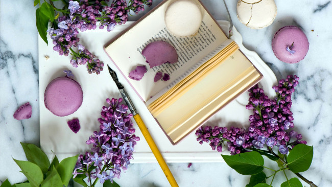 Обои картинки фото еда, макаруны, сирень, книга, лакомство