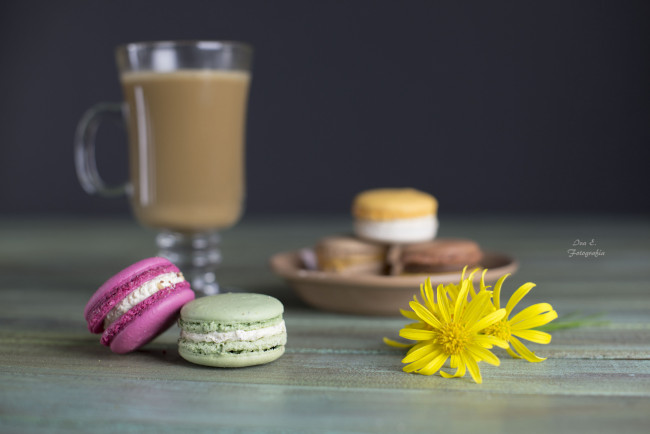 Обои картинки фото еда, макаруны, пирожное, печенье, цветы