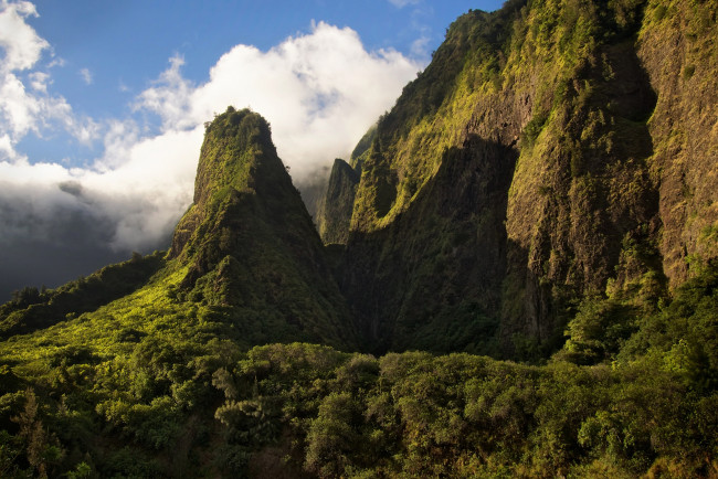 Обои картинки фото природа, горы, возвышенность, растения