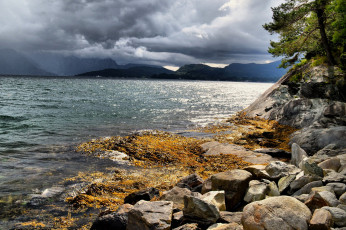 Картинка природа побережье камни