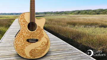 Картинка музыка -музыкальные+инструменты природа растения гитара