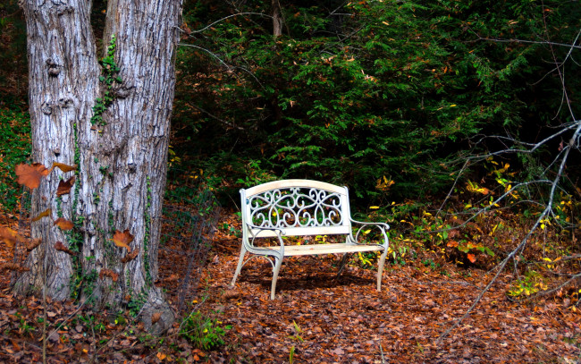 Обои картинки фото природа, парк, листопад, осень