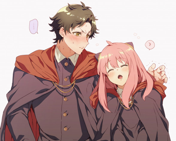 Обои картинки фото аниме, spy x family, spy, x, family