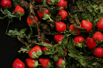 Картинка еда клубника +земляника ягоды