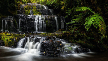 Картинка purakanui+falls new+zealand природа водопады purakanui falls new zealand