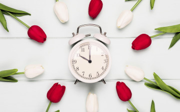 обоя разное, часы,  часовые механизмы, будильник, цветы, тюльпаны