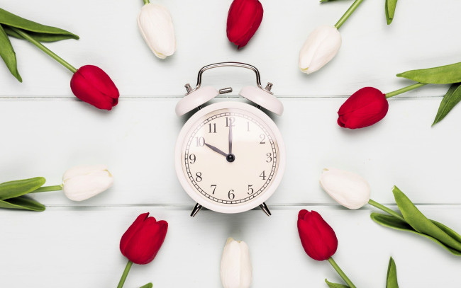 Обои картинки фото разное, часы,  часовые механизмы, будильник, цветы, тюльпаны