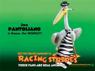 обоя racing, stripes, мультфильмы