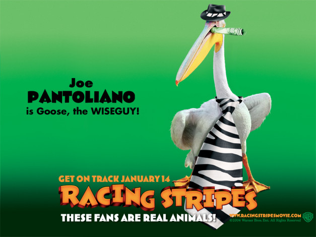 Обои картинки фото racing, stripes, мультфильмы