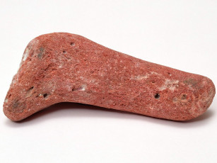 Картинка разное ракушки кораллы декоративные spa камни