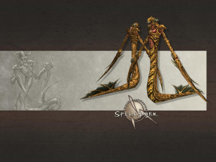 обоя the, chronicles, of, spellborn, видео, игры