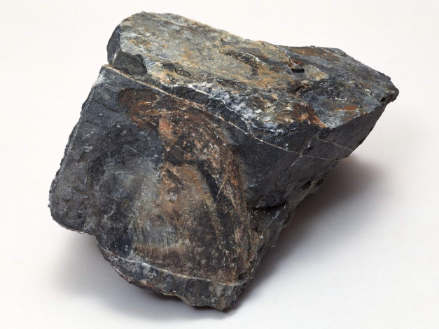 Обои картинки фото разное, ракушки, кораллы, декоративные, spa, камни