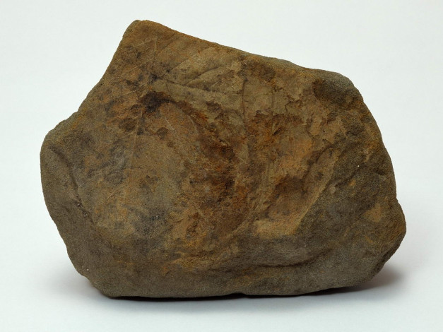 Обои картинки фото разное, ракушки, кораллы, декоративные, spa, камни