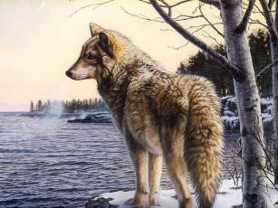 Картинка рисованные животные