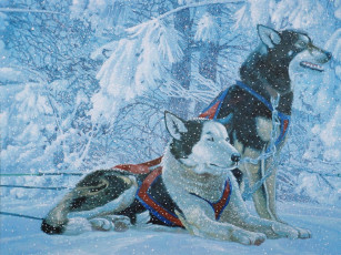 Картинка рисованные животные