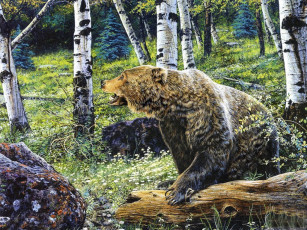 Картинка рисованные животные