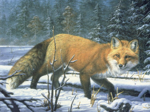 Картинка рисованные животные