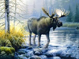 Картинка рисованные животные