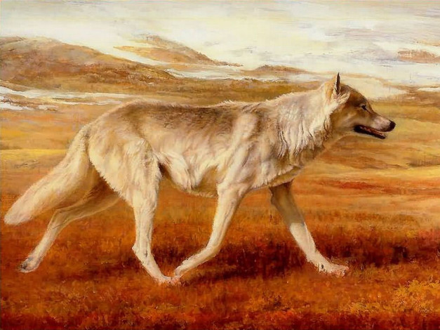 Обои картинки фото рисованные, животные