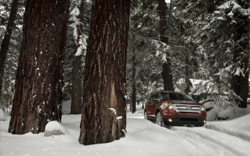Картинка ford explorer автомобили