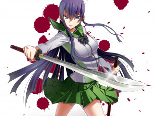 Картинка аниме highschool of the dead девушка меч
