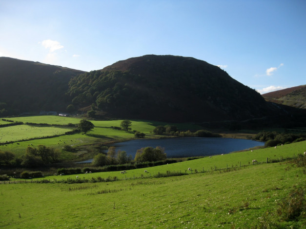 Обои картинки фото природа, реки, озера, овцы, гора, озеро, пастбище