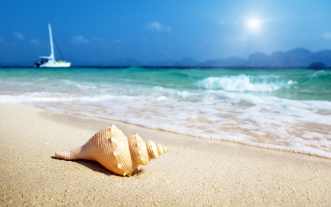 Обои картинки фото разное, ракушки, кораллы, декоративные, spa, камни, волны, ракушка, песок