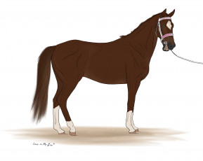 Картинка рисованные животные лошади лошадь
