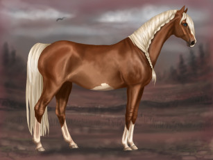 Картинка рисованные животные лошади лошадь