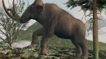 Картинка 3д графика animals животные слон