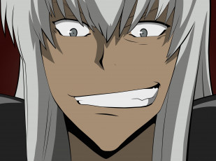Картинка аниме katekyo+hitman+reborn мечник серые волосы скуалло парень учитель мафиози реборн портрет взгляд улыбка