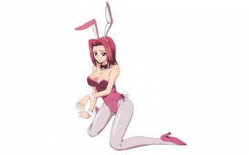 Картинка аниме code+geass заячьи ушки девушка код гиас