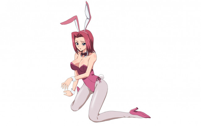 Обои картинки фото аниме, code geass, заячьи, ушки, девушка, код, гиас