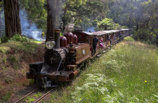 Обои картинки фото техника, паровозы, железная, дорога, рельсы, паровоз, вагоны