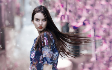 Картинка девушки -unsort+ брюнетки +шатенки девушка взгляд волосы