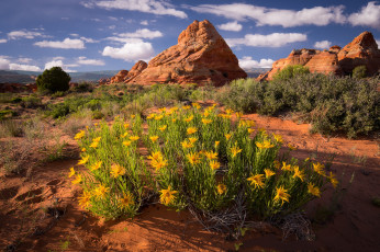 Картинка природа пустыни простор