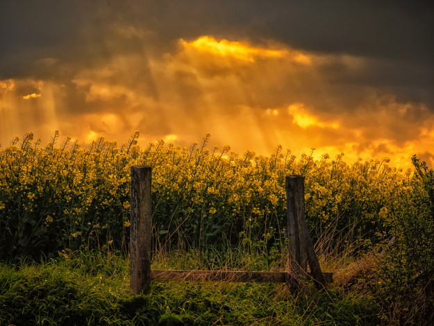 Обои картинки фото природа, пейзажи, рассвет