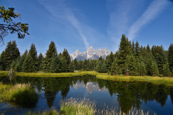 Картинка природа реки озера лес река