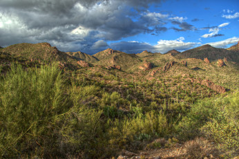 Картинка природа пустыни простор