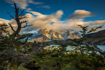 Картинка природа реки озера река лес