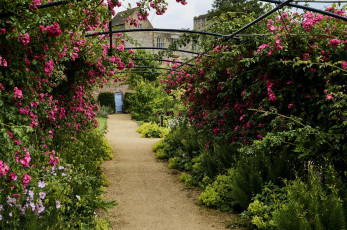 Картинка англия цветы цветущие+деревья+ +кустарники здания растение