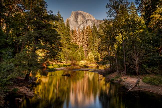 Обои картинки фото природа, реки, озера, лес, река